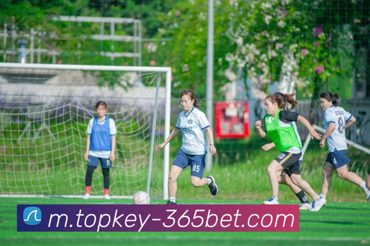 365bet平台生态图